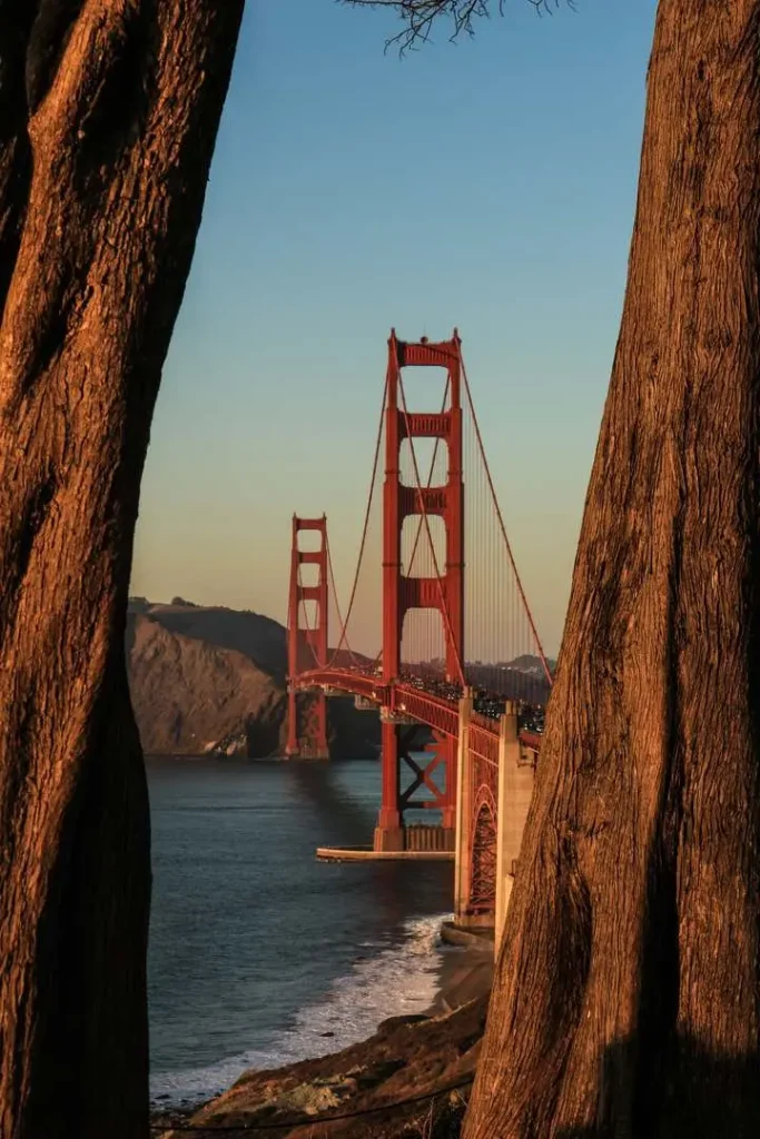 mikael-pirault-portfolio-min-14