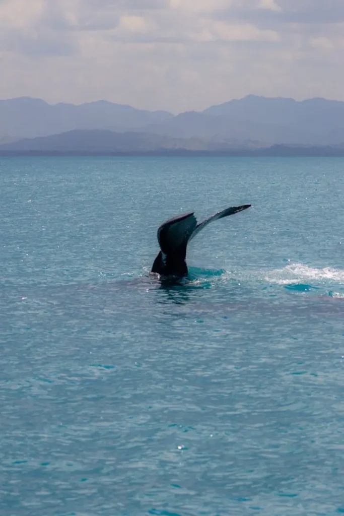 mikael-pirault-portfolio-min-9